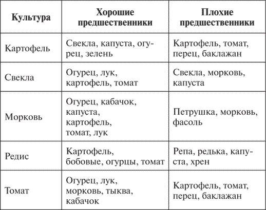 Предшественников культуры. Предшественники свеклы. Хорошие предшественники для свеклы. Хорошие предшественники. Лучший предшественник для картофеля.