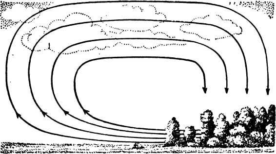 Горизонтальное перемещение воздуха. Схема образования ветров. Суховей схема образования. Ветер схема. Местные ветры схема.