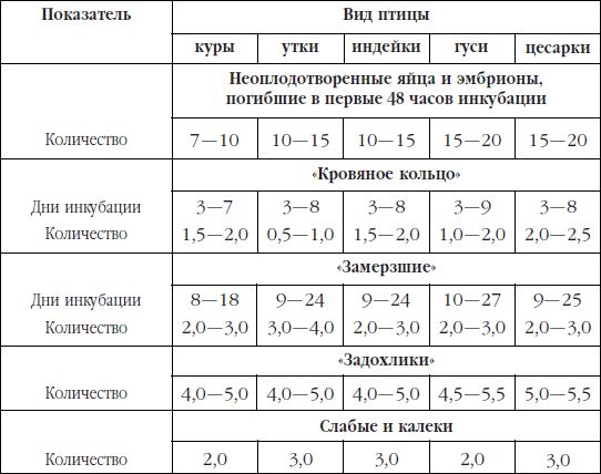 Инкубация 15 день. Инкубация куриных яиц в инкубаторе по дням. Инкубация куриных яиц таблица развития. 15 День инкубации куриных. Таблица инкубации зародыша утки.