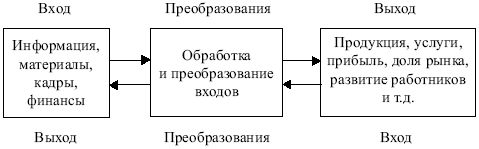 Следующим образом в соответствии с. Системный подход в менеджменте схема. Схема системного подхода управления организацией в менеджменте. Схема функционирования предприятия системный подход. Системный подход в менеджменте закрытая система.