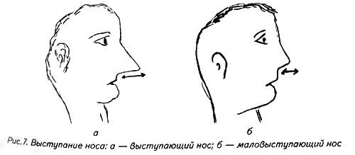 Частей профиль. Выступание носа криминалистика. Нос криминалистика выступание носа. Длина носа. Как измерить длину носа.