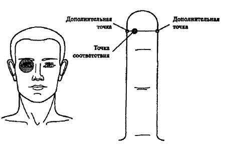Точка соответствия. Лечебные точки на теле человека и способы воздействия на них.