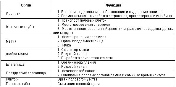 Строение женских половы. Женская половая/система строение и функции анатомия. Органы женской половой системы таблица. Половая система органы таблица. Таблица строение органов женской половой системы строение функции.