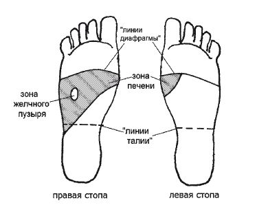 Печень ноги. Точка печени на стопе. Проекция печени на стопе. Проекция желчного пузыря на стопе. Точка желчного пузыря на стопе.