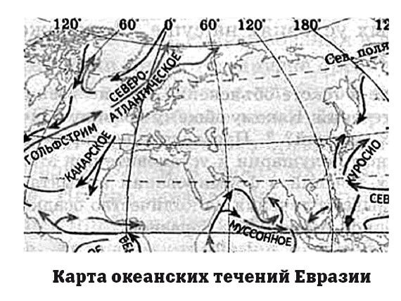 Течения проходящие вблизи западных и восточных берегов. Течения Евразии на карте. Теплые течения Евразии. Тёплые и холодные течения Евразии. Холодные течения Евразии.