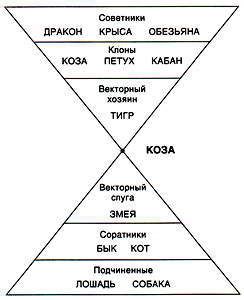 Структурный гороскоп григория кваши. Таблица Григория Кваши. Структурный гороскоп векторные. Структурный коза Кваша. Вектор рыцарь Аристократ.