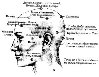 Точек бад. Энергетические сигнальные точки меридианов. Точки на голове. Энергетические точки на голове. Меридианы на лице человека схема.