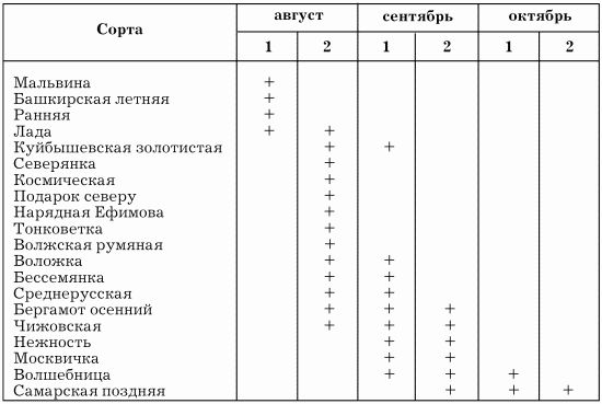 Таблица сортов. Сорта груши по сроку созревания таблица. Дегустационная оценка груш. Сравнение сортов груш таблица. Груши летние сорта таблица срока созревания.