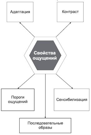 Схема свойства. Свойства ощущений схема. Общие свойства ощущений схема. Ощущение схема. Свойства ощущений в психологии схема.